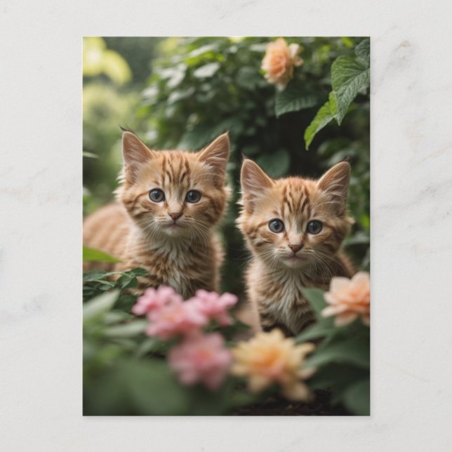 Two Ginger Kittens Exploring A Lush Garden Postcard (Front)
