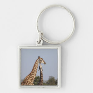 Two Giraffe, Kruger National Park, South Africa Keychain