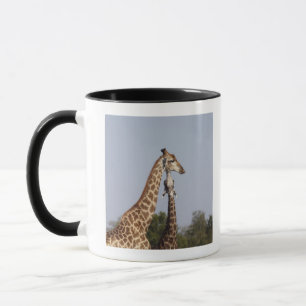Two Giraffe, Kruger National Park, South Africa Mug