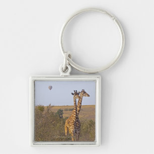 Two Giraffes (Giraffa camelopardalis), Masai Keychain