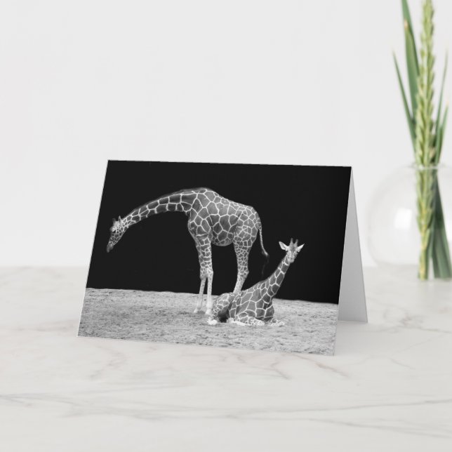 Two Giraffes in Black and White Card (Front)