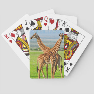 Two Giraffes Playing Cards