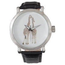 Two Giraffes