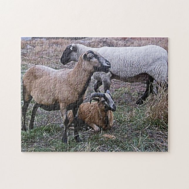 Two Goats and a Sheep Jigsaw Puzzle (Horizontal)