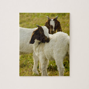 Two Goats Cute Brown White Jigsaw Puzzle
