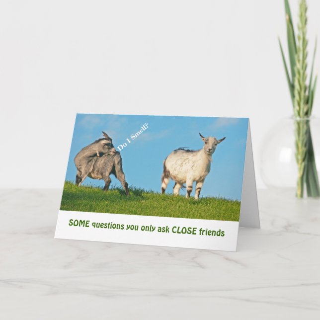 "TWO GOATS"  HUMOR / FRIENDSHIP CARD (Front)