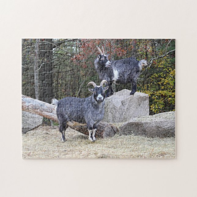 Two Goats Jigsaw Puzzle (Horizontal)