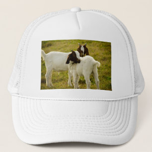 Two Goats Trucker Hat