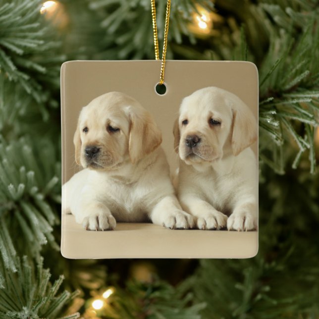 Two Golden Labrador Puppies Ceramic Ornament (Tree)