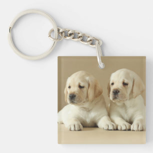 Two Golden Labrador Puppies Keychain