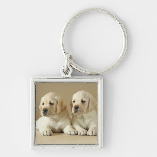Two Golden Labrador Puppies Keychain (Front)