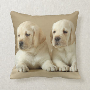 Two Golden Labrador Puppies Throw Pillow