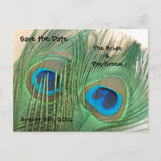 Two Golden Peacock Feathers Save the Date Announcement Postcard (Front)
