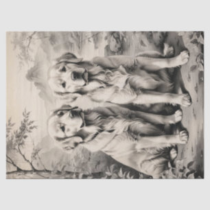 Two Golden Retriever Dogs Portrait Tissue Paper
