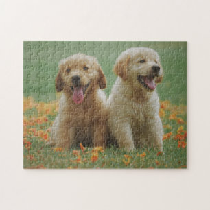 Two Golden Retriever Puppies in Flowers Jigsaw Puzzle