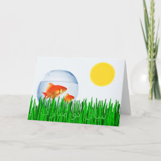 Two Goldfish Sun Spring Equinox Grass Happy New Ye Holiday Card