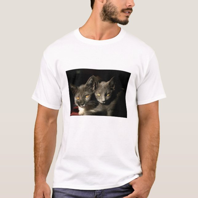 Two Gray Cats Men's Basic T-Shirt (Front)