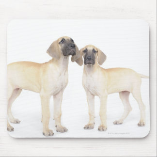 Two Great Danes Mouse Pad