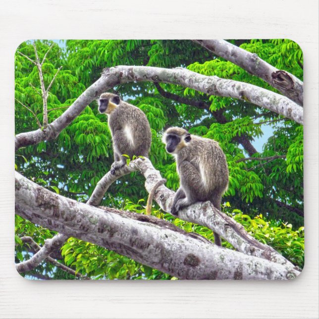 Two Green Monkeys Sitting In Tree Print Mouse Pad (Front)