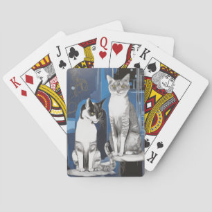 Two Grey Cats on an Abstract Background  Playing Cards