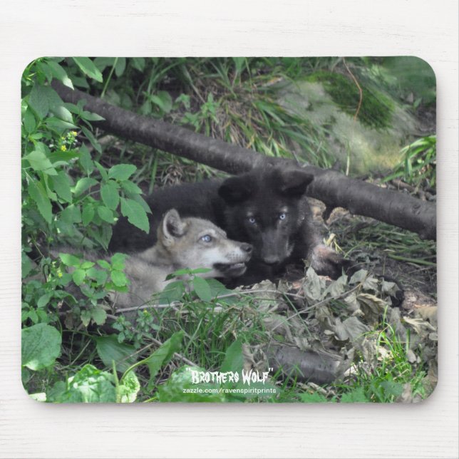 Two Grey Wolf Pups Playing Wildlife Nature Photo Mouse Pad (Front)