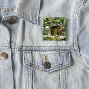 Two Grey Wolves in Forest 2 Inch Square Button