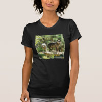 Two Grey Wolves in Forest