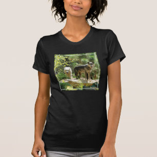 Two Grey Wolves in Forest T-Shirt