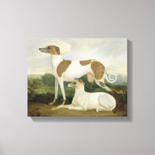 Two Greyhounds in a Landscape (oil on canvas) Canvas Print