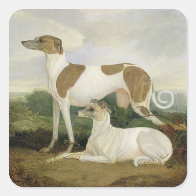 Two Greyhounds in a Landscape (oil on canvas) Square Sticker (Front)