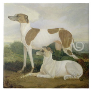 Two Greyhounds in a Landscape (oil on canvas) Tile