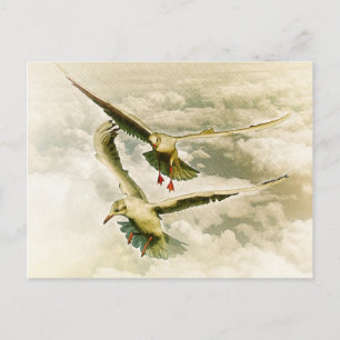 Two gulls postcard