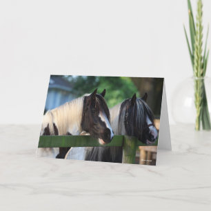 Two Gypsy Vanner Horses Looking Over Fence Card