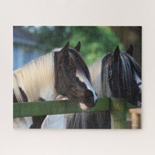 Two Gypsy Vanner Horses Looking Over Fence Jigsaw Puzzle