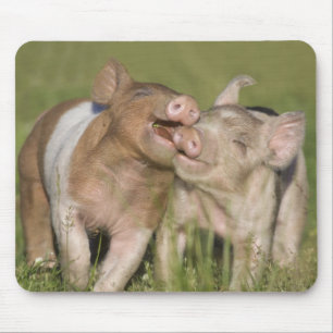 Two Happy Piglets Mouse Pad