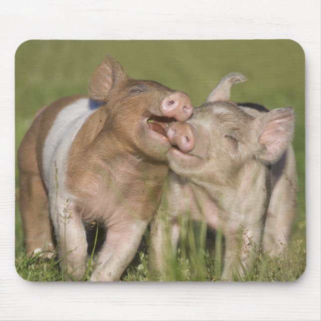 Two Happy Piglets Mouse Pad (Front)
