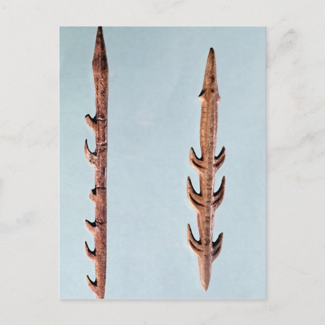 Two Harpoons, Upper Paleolithic Period Postcard (Front)
