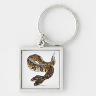 Two headed Royal Python or Ball Python - Python Keychain
