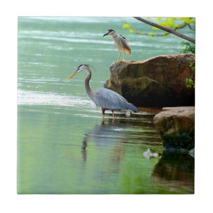 Two Herons by the River Tile
