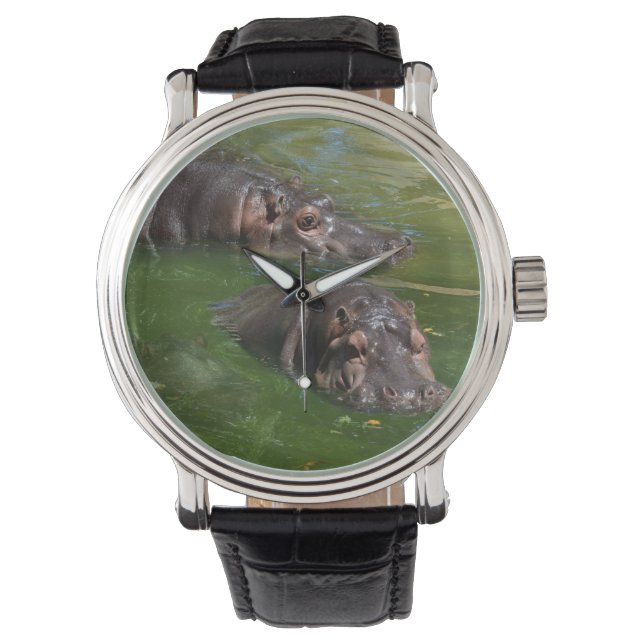 Two Hippos Swimming In Pond,    Watch (Front)
