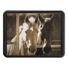 Two Horse Hitch Cover