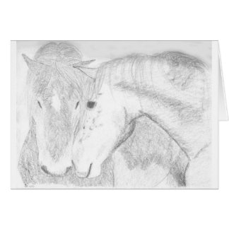 Two horses