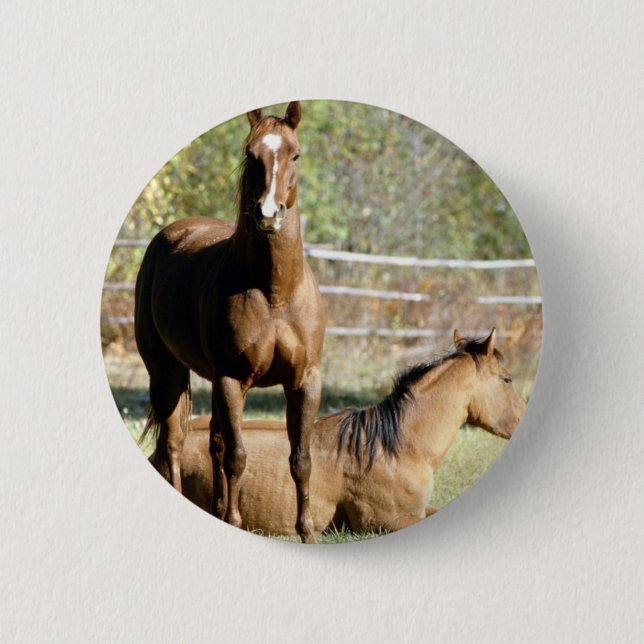 Two Horses at Pasture 2 Inch Round Button (Front)