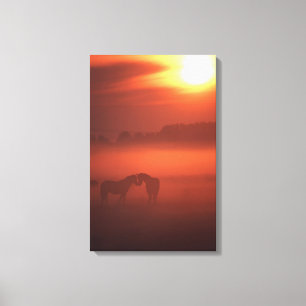 Two horses at sunset canvas print