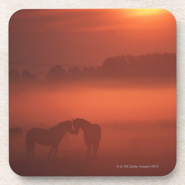 Two horses at sunset coaster (Front)