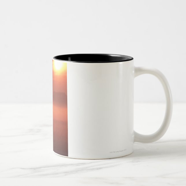 Two horses at sunset Two-Tone coffee mug (Right)