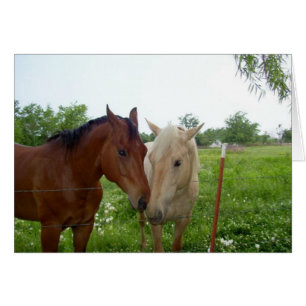 Two Horses - Blank Inside