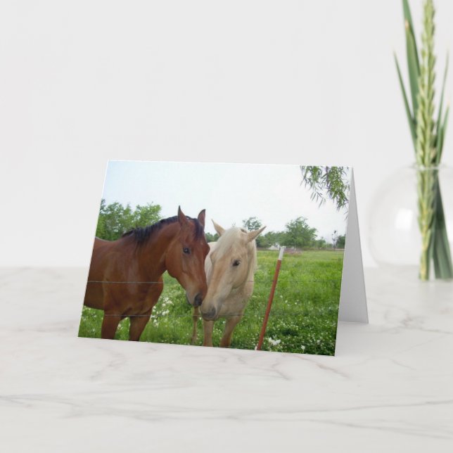 Two Horses - Blank Inside Card (Front)