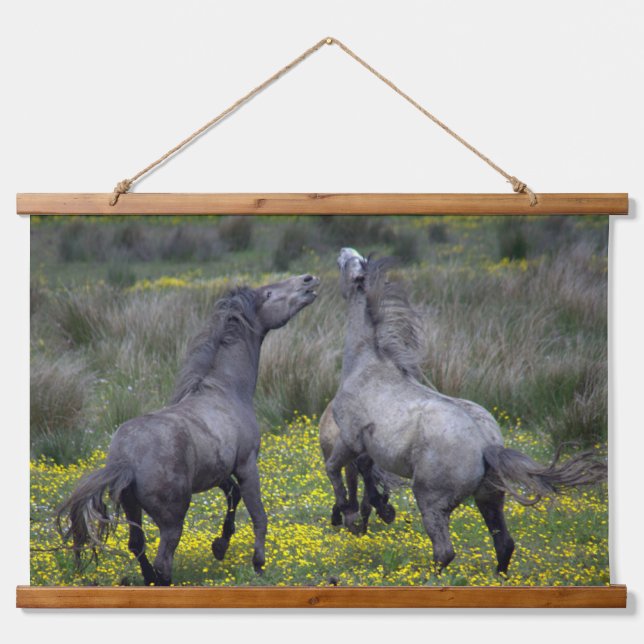 Two Horses Buck and Play Hanging Tapestry (Front)
