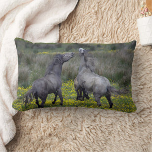 Two Horses Buck and Play Lumbar Pillow